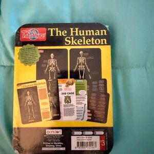 The Human Skeleton Learning Toy - Yellow